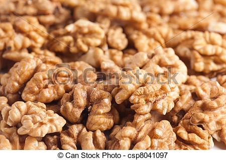 Picture of walnut kernel.