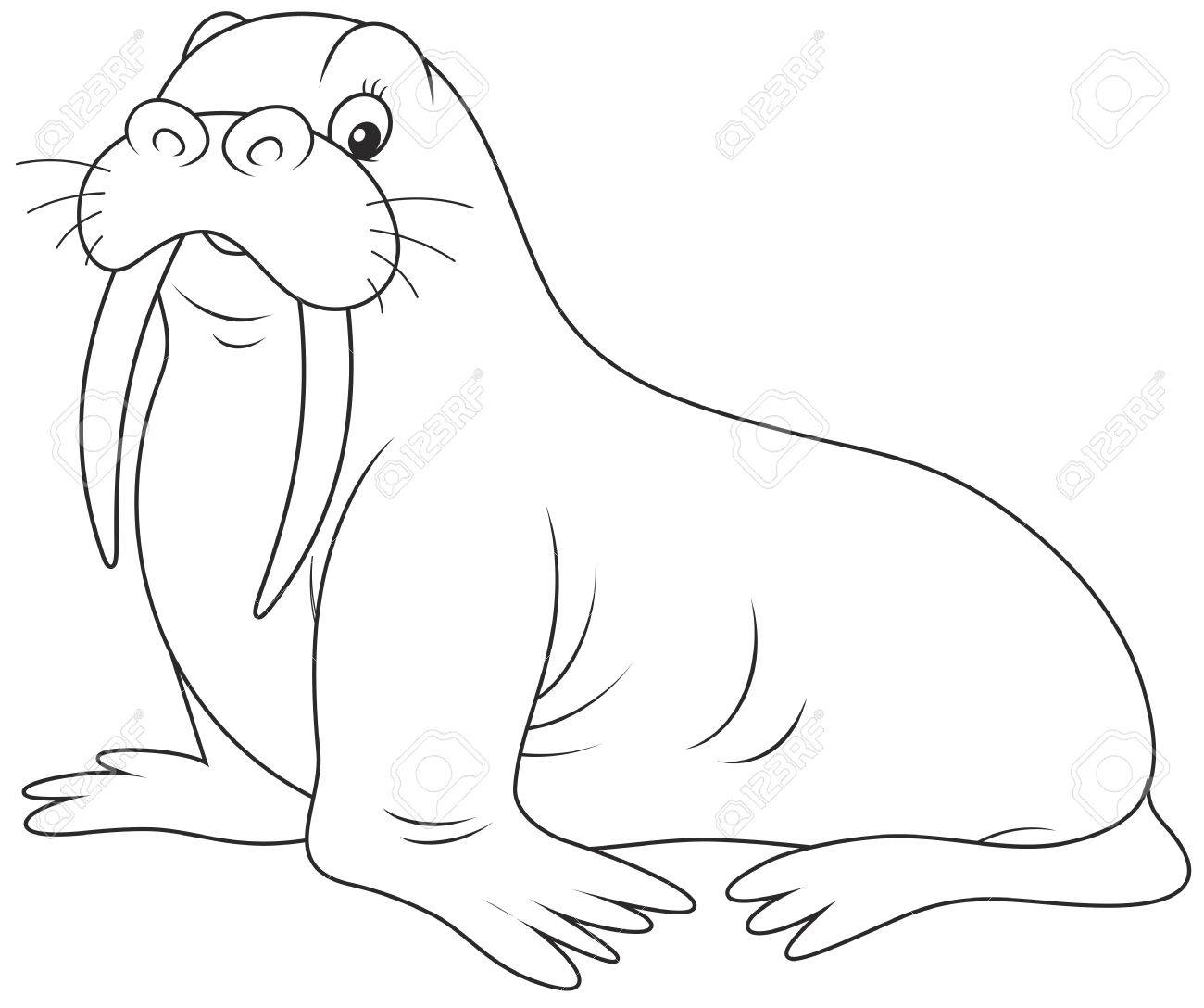 Walrus clipart black and white 2 » Clipart Station.