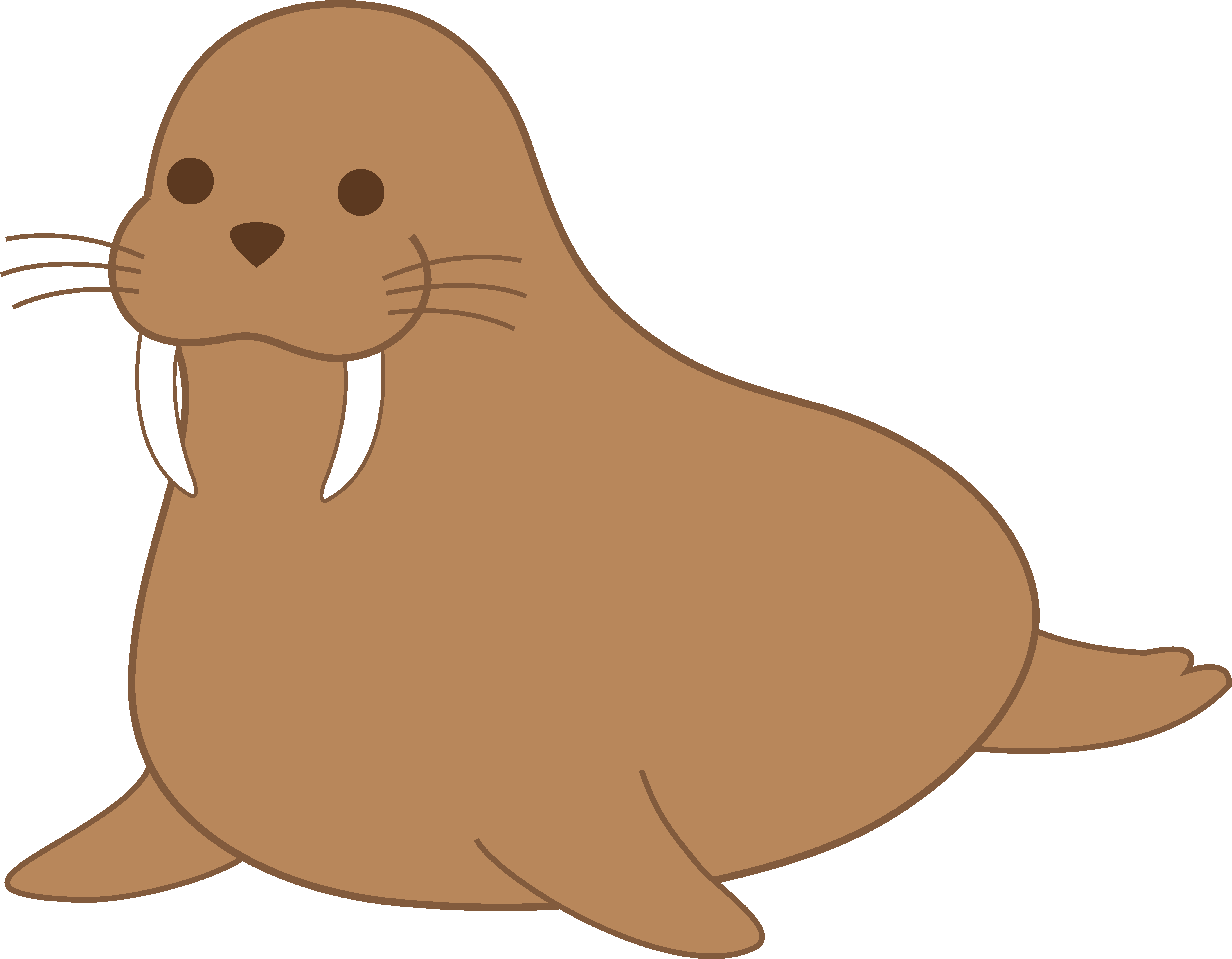 Free Walrus Pictures, Download Free Clip Art, Free Clip Art.