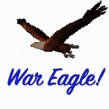 War Eagle GIFs.