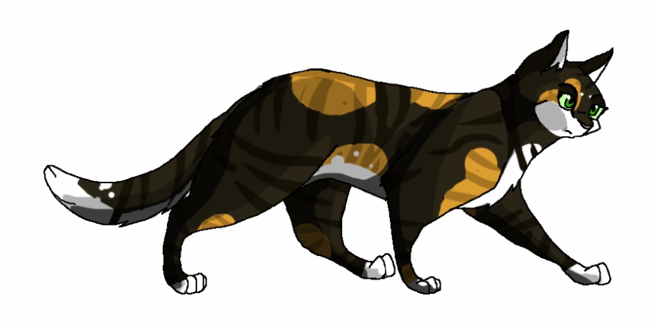 Warrior Cats.