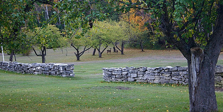 Washington Island.