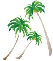 Washington Palm Clip Art, Vector Washington Palm.