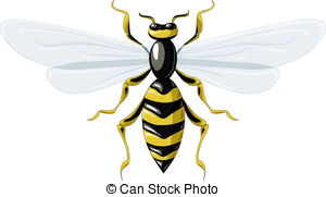 Clip Art Vector of vectors wasp on a white background csp6480796.