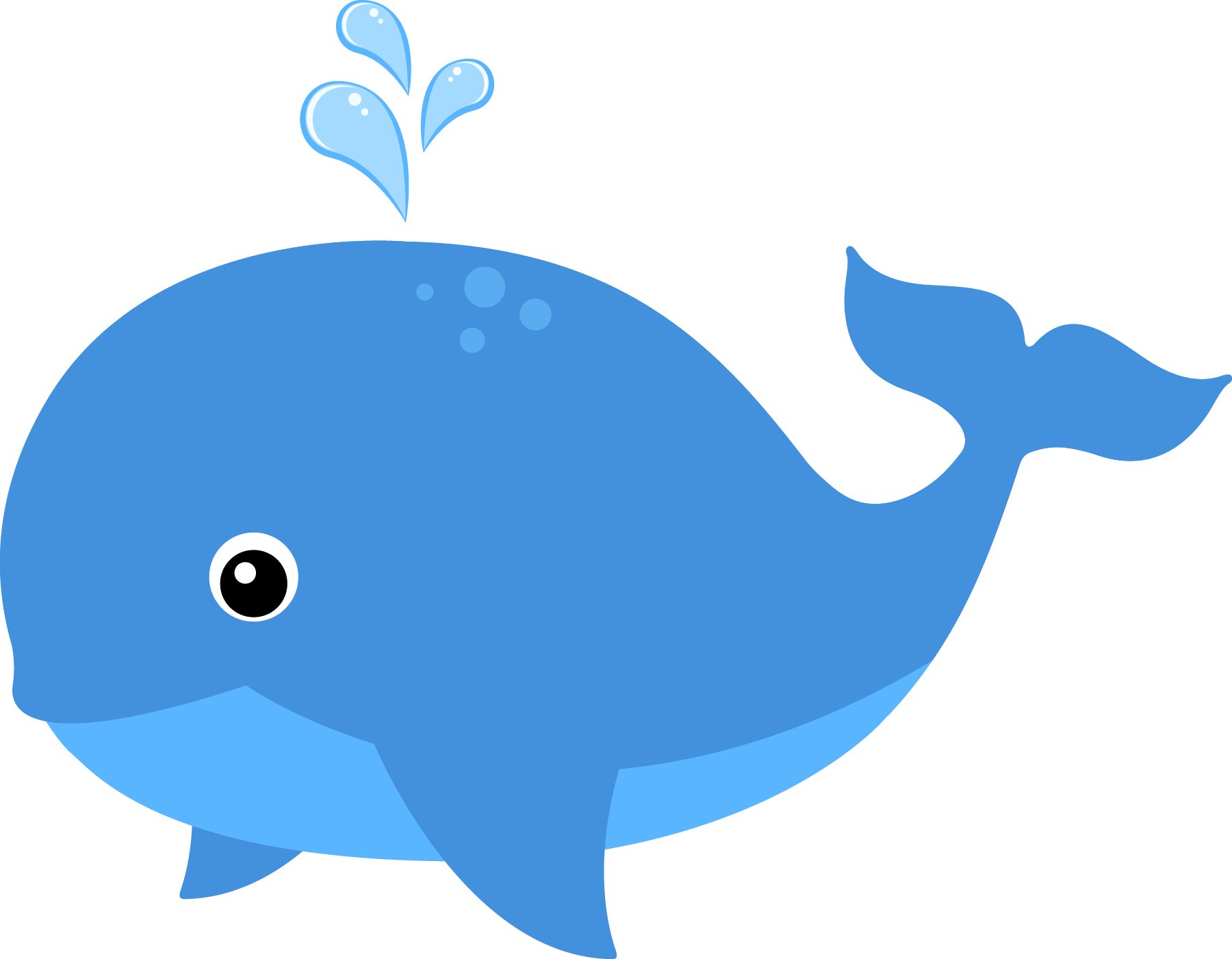 Sea Animals Clipart Png.