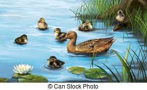 Water birds Illustrations and Stock Art. 10,180 Water birds.