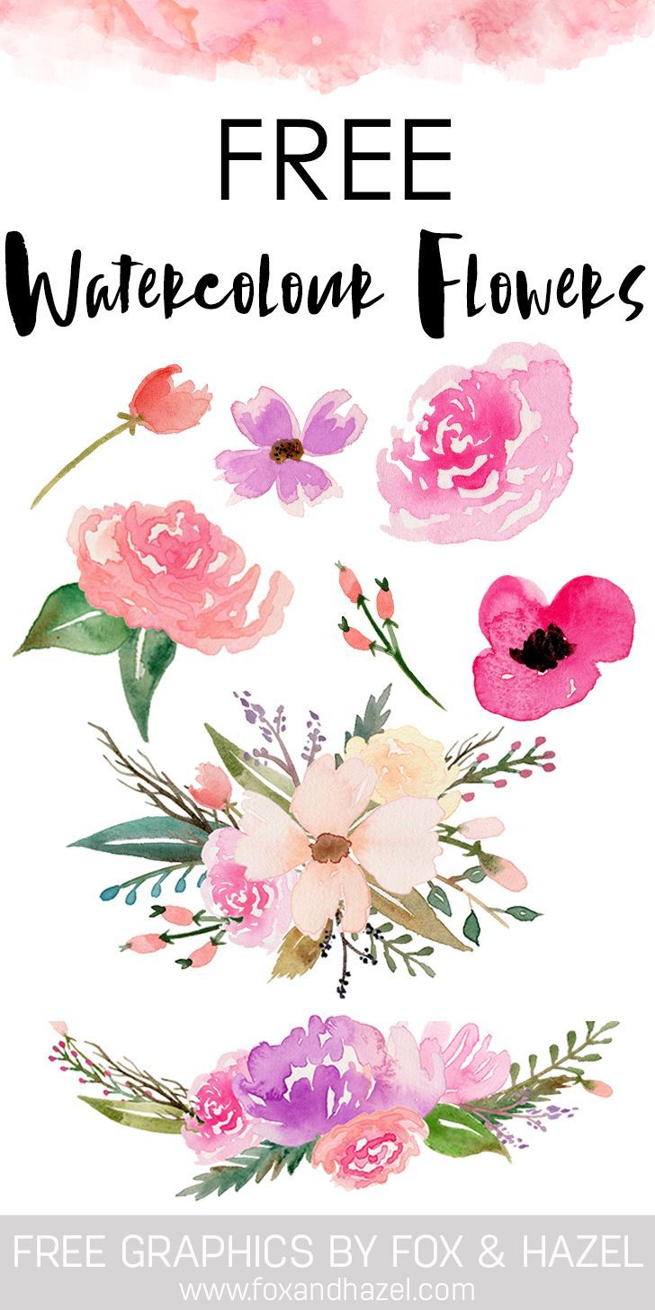 Free Watercolor Flower Graphics from.