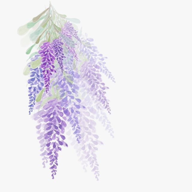 Watercolor Flowers Lavender Design Painting, Purple Flowers.