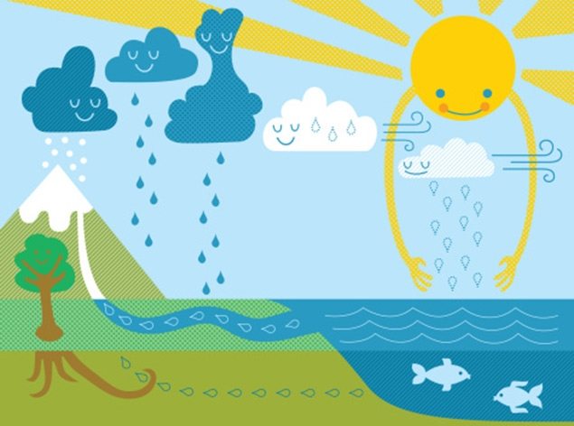 The Water Cycle!.