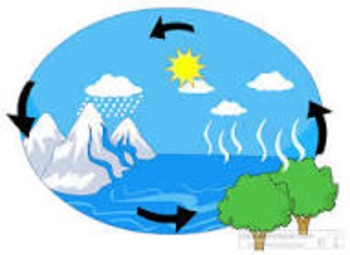 Water Cycle Powerpoint.