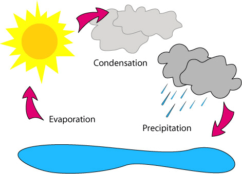 water cycle collection clipart - Clipground