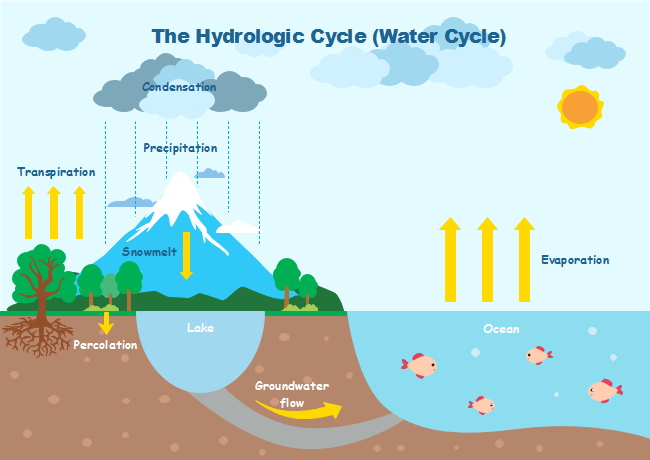 A water cycle template for students to visually understand.