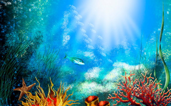 50+ Best Aquarium Backgrounds to Download & Print.