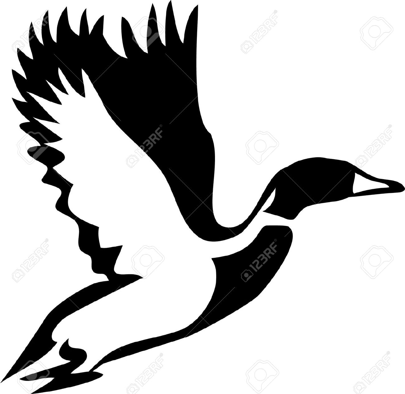 4,036 Waterfowl Stock Vector Illustration And Royalty Free.