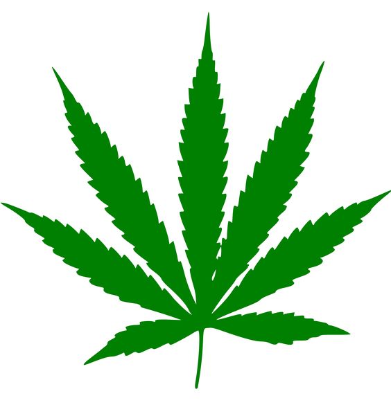 File:Cannabis leaf.svg.