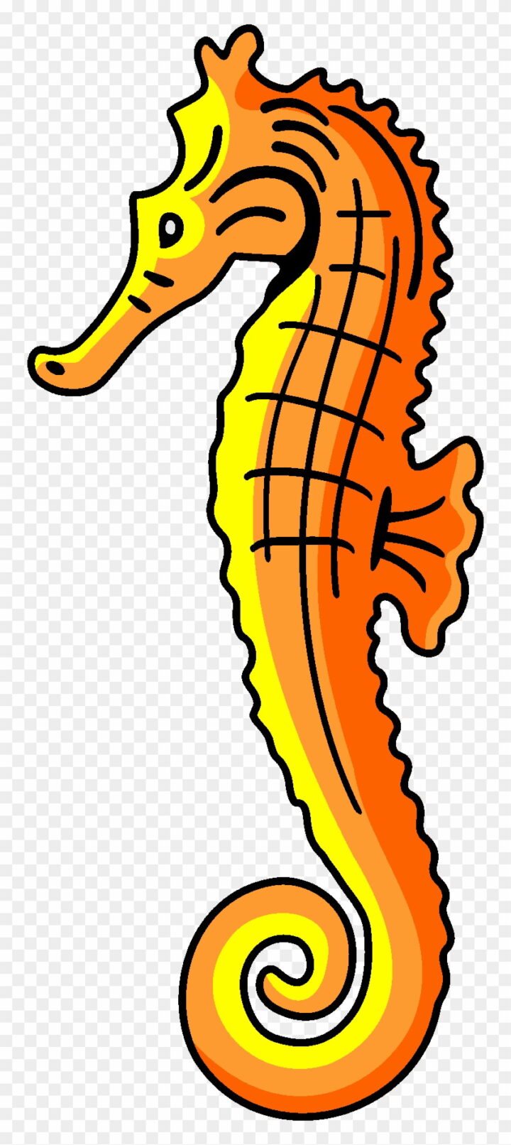 Seahorse Clip Art Free Clipart Images Clipartandscrap.