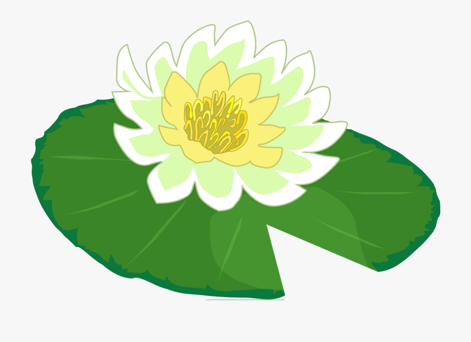 White Flower Water Lily Clipart The Cliparts Png.