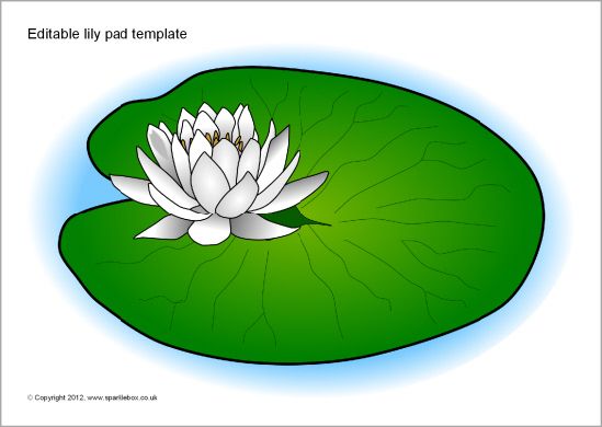 Water Lily Leaf Clipart 20 Free Cliparts Download Images On 