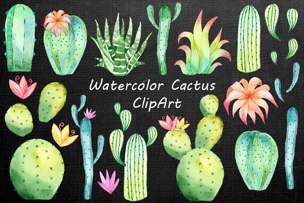 Watercolor Cactus Clipart.