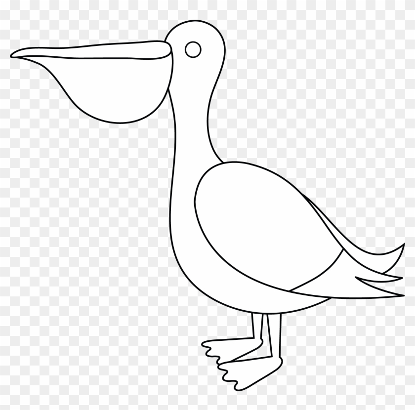 Pelican Clipart Black And White.