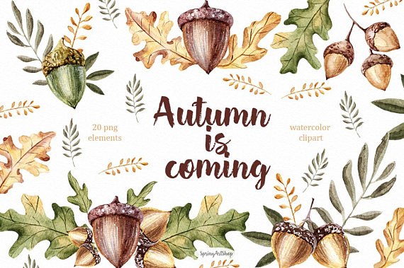 Autumn coming Fall clipart Acorn clipart watercolor clipart.