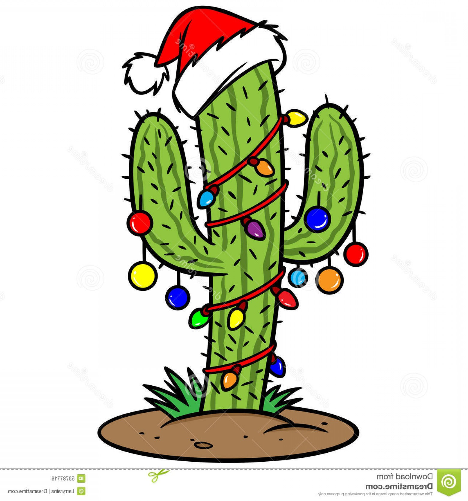 Christmas Cactus Drawing.
