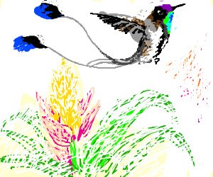 A pretty watercolor hummingbird & flower.