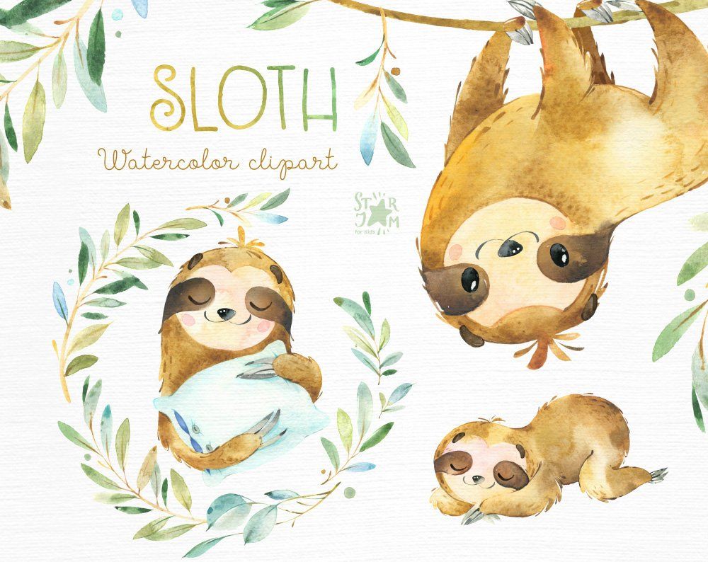 Sloth. Little animals watercolor clipart, sleepy sloths.