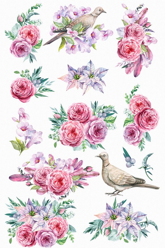 Flower and bird Clipart. Watercolor.