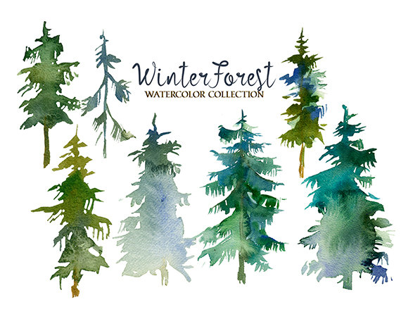 Pine Trees Watercolor Clipart Fir Trees PNG Christmas Winter.