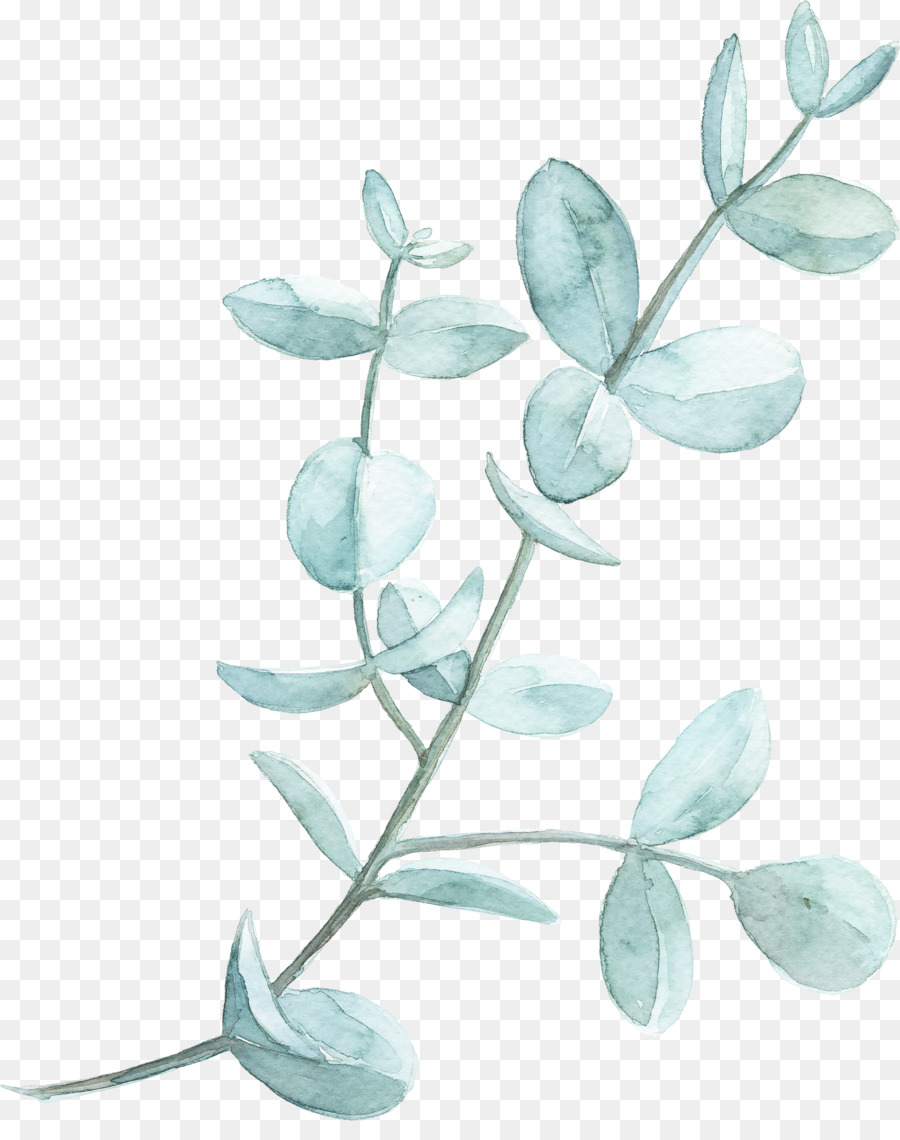 Green Leaf Watercolor png download.