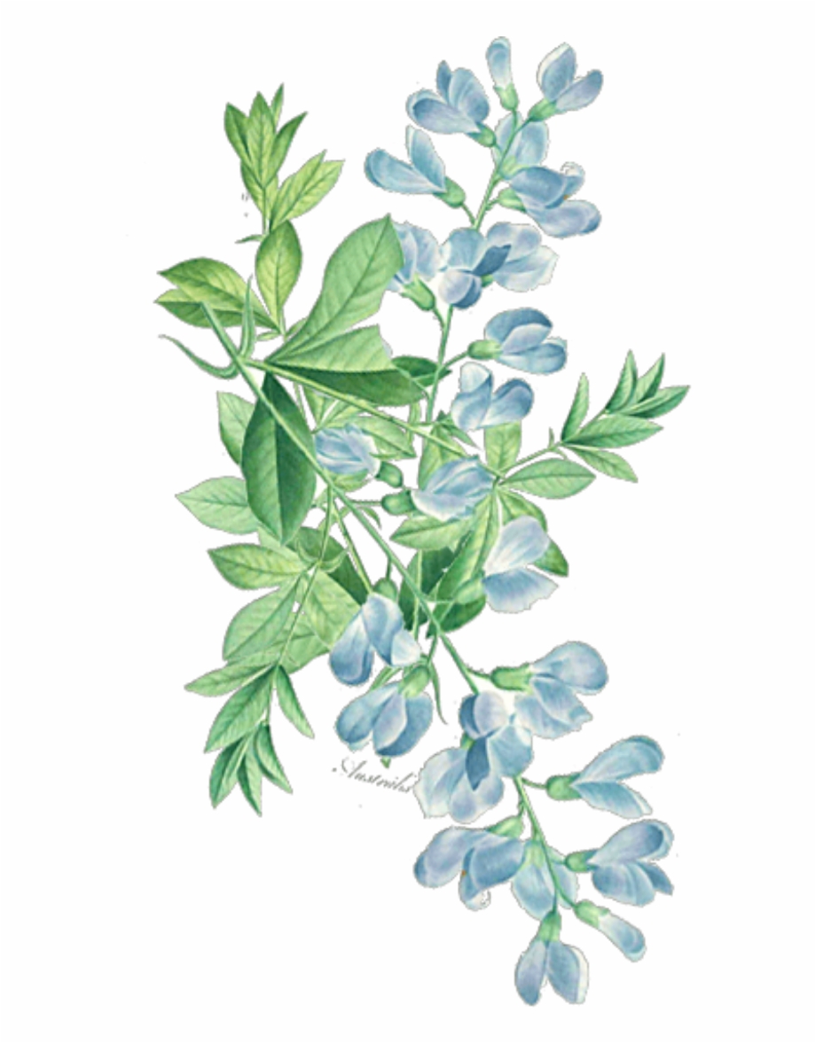 ftestickers #watercolor #floral #leaves #greenery Free PNG.