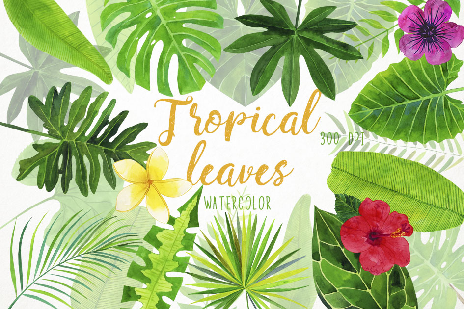 Watercolor Tropical Leaves Clipart, Palm Leaves Clip Art.