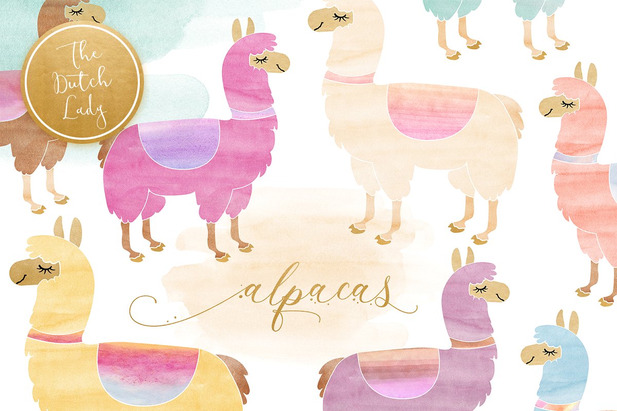Watercolor Lama & Alpaca Clipart ~ Illustrations ~ Creative.