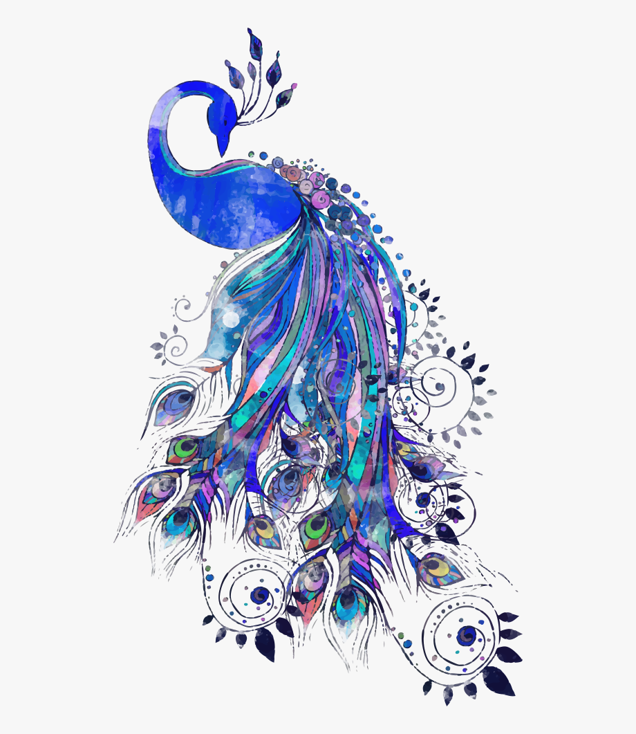 mq #peacock #feathers #feather #blue #bird #birds.