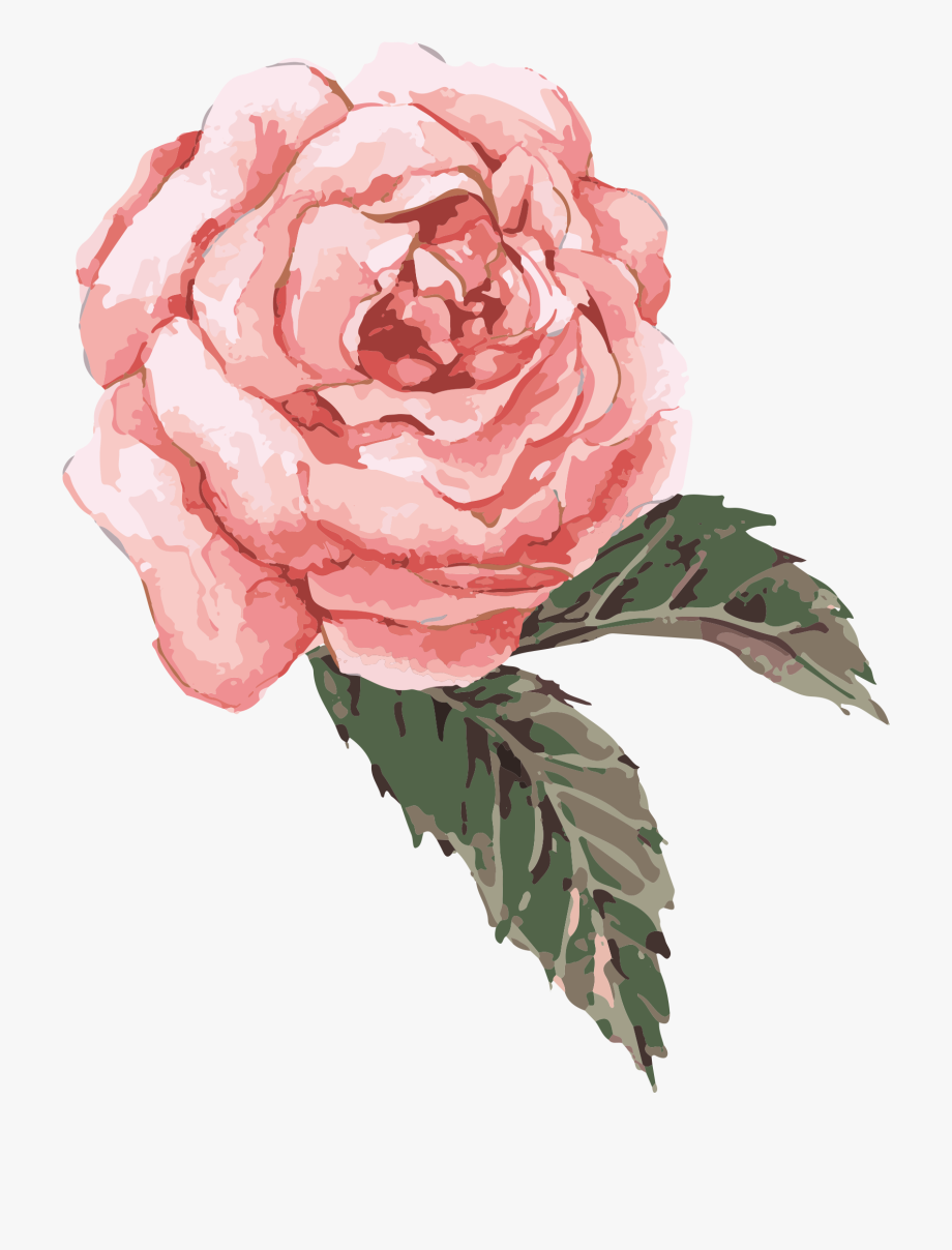 watercolor roses png 10 free Cliparts | Download images on Clipground 2021