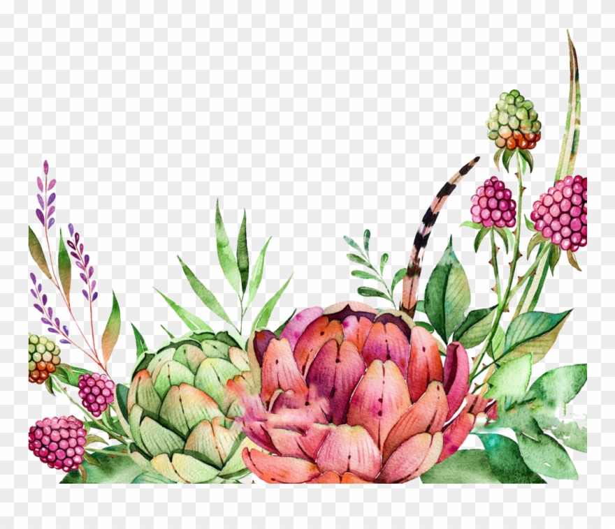 watercolor succulent border free clipart 10 free Cliparts | Download