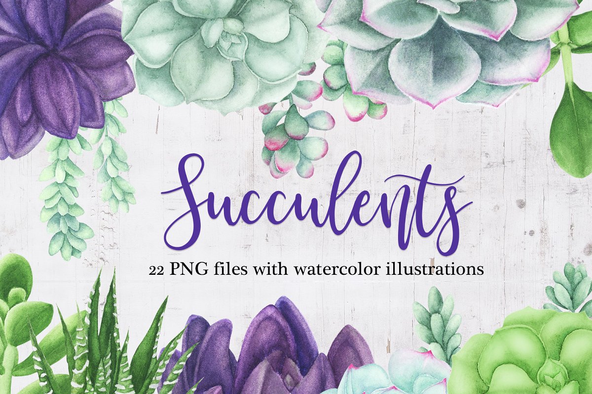 watercolor succulents clipart 10 free Cliparts | Download images on ...