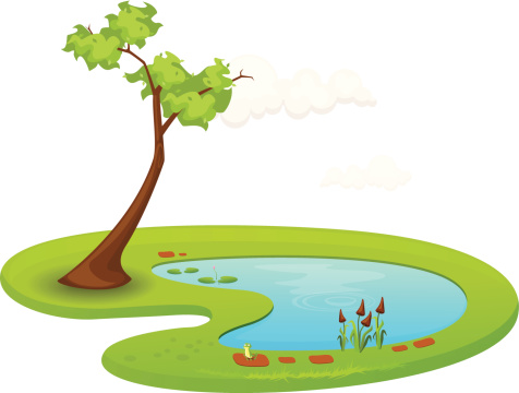 Waterhole clipart - Clipground