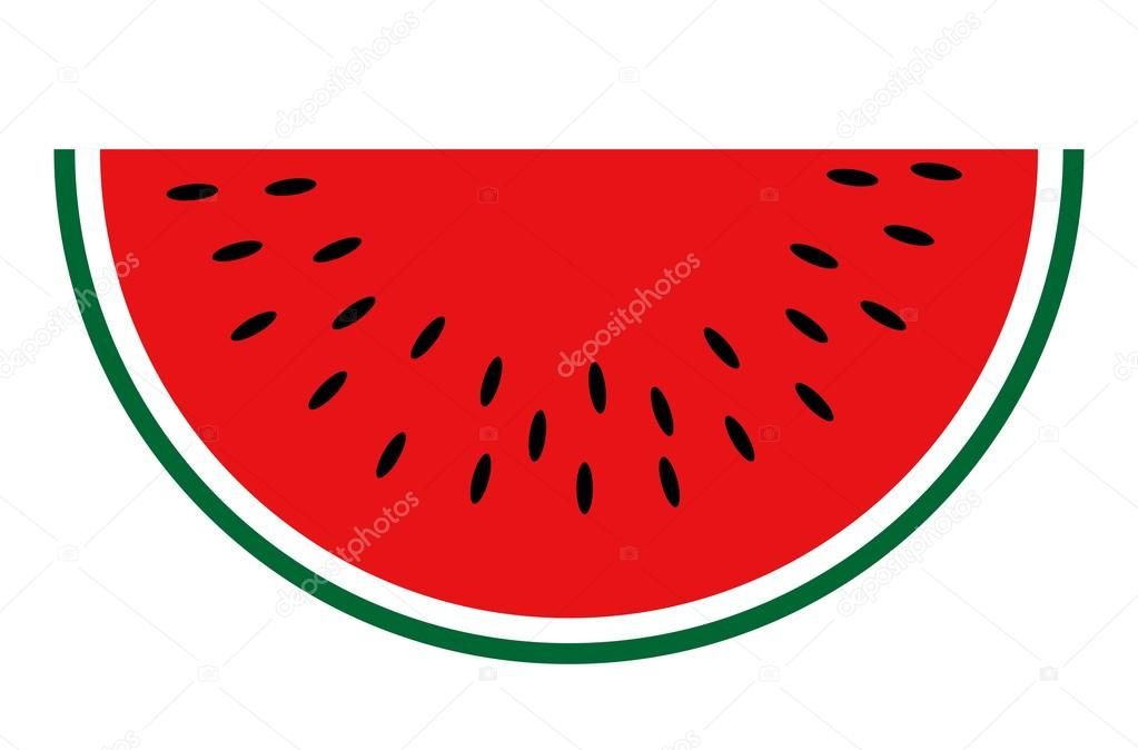 Image result for watermelon vector.