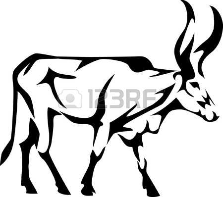 Watusi Stock Photos & Pictures. Royalty Free Watusi Images And.