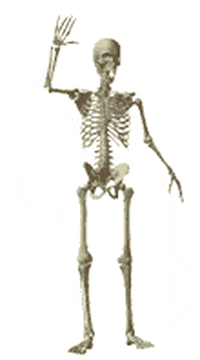 Skeleton Skeletons Dancing GIF.