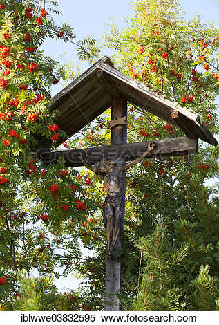 Stock Image of "Wayside cross, rowan berry shrub, Seiser Alm, Alto.