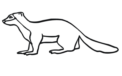 weasel clipart black and white 10 free Cliparts | Download images on