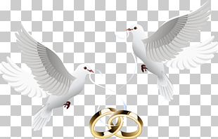 Wedding invitation , Dove inlay ring, two white doves.