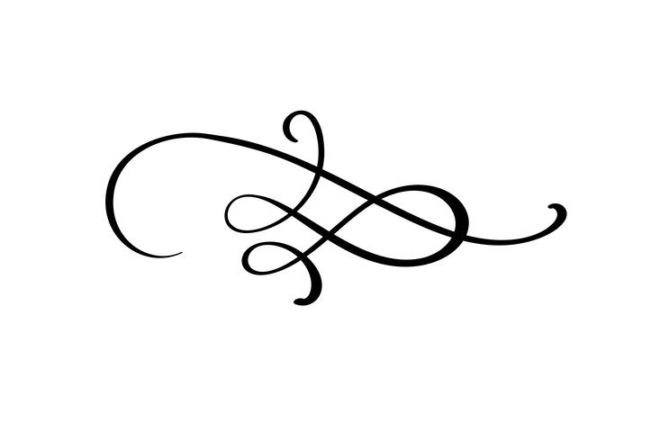 Vector calligraphy element flourish. Hand drawn divider for.