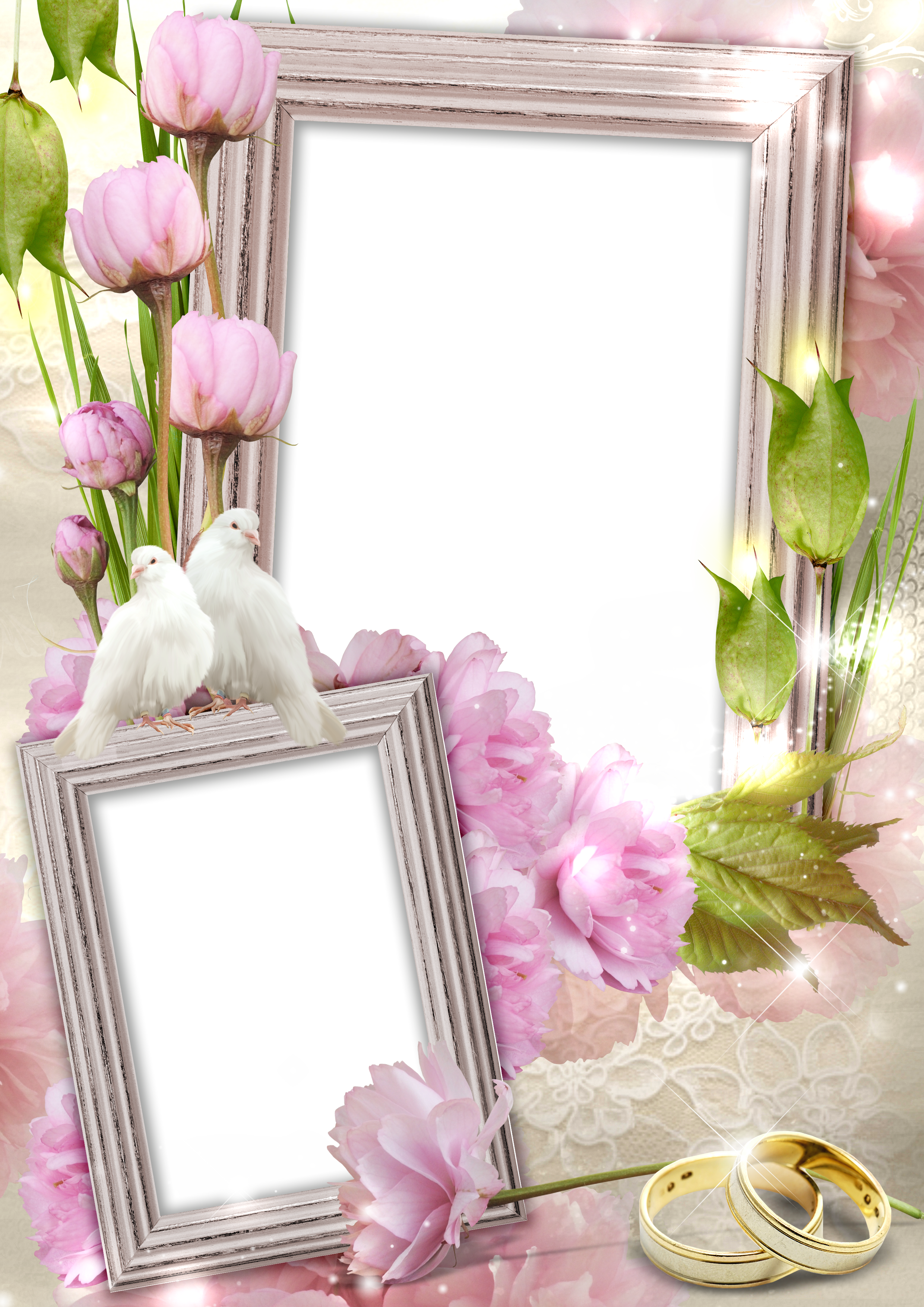 Transparent Wedding Frame with Rings and Doves.
