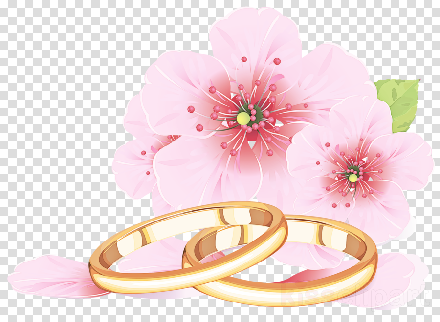 Wedding Ring Clipart Pink 10 Free Cliparts Download Images On Clipground 2023 9856