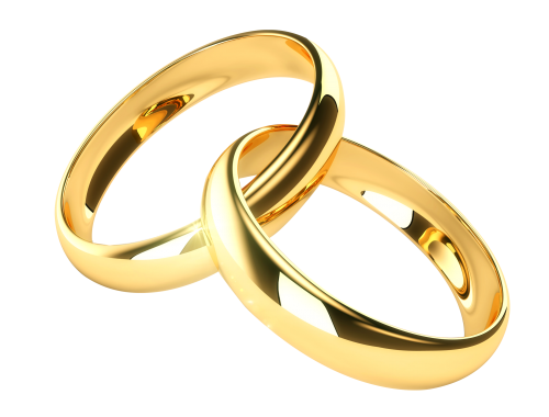 Wedding Ring Vector Png.