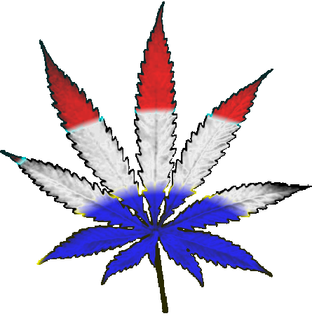 Free Weed Blunt Transparent, Download Free Clip Art, Free.